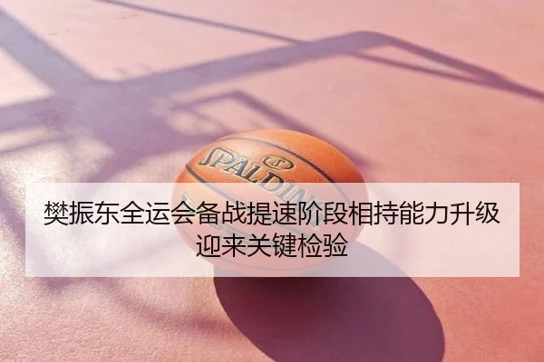 樊振东全运会备战提速阶段相持能力升级迎来关键检验