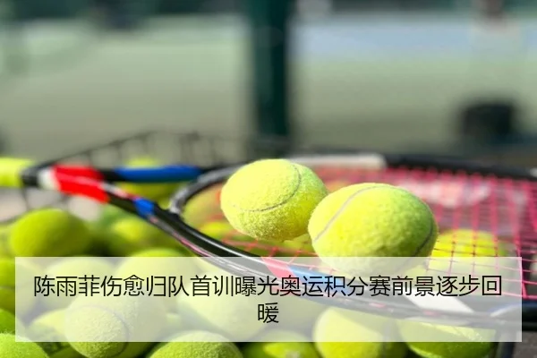 陈雨菲伤愈归队首训曝光奥运积分赛前景逐步回暖